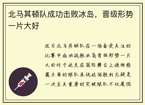 北马其顿队成功击败冰岛，晋级形势一片大好