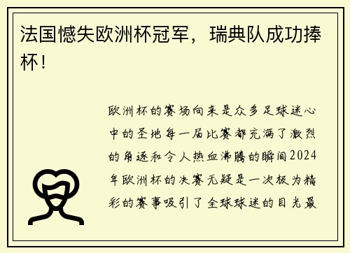 法国憾失欧洲杯冠军，瑞典队成功捧杯！